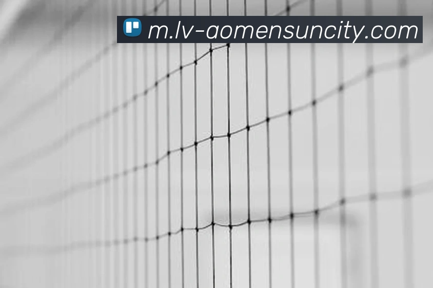 App Interface Preview